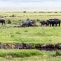 TZA ARU Ngorongoro 2016DEC26 Crater 042 : 2016, 2016 - African Adventures, Africa, Arusha, Crater, Date, December, Eastern, Mandusi Hippo Pool, Month, Ngorongoro, Places, Tanzania, Trips, Year